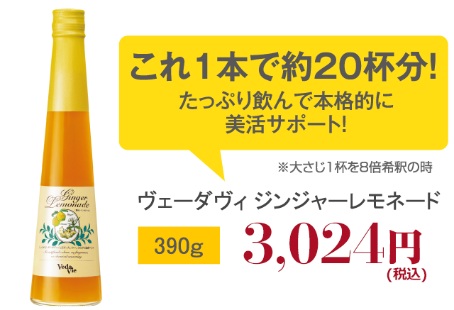 これ１本で約２０杯分！ヴェーダヴィ ジンジャーレモネード 390g 2,800円