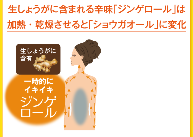 ジンゲロール