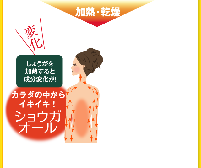 ショウガオール