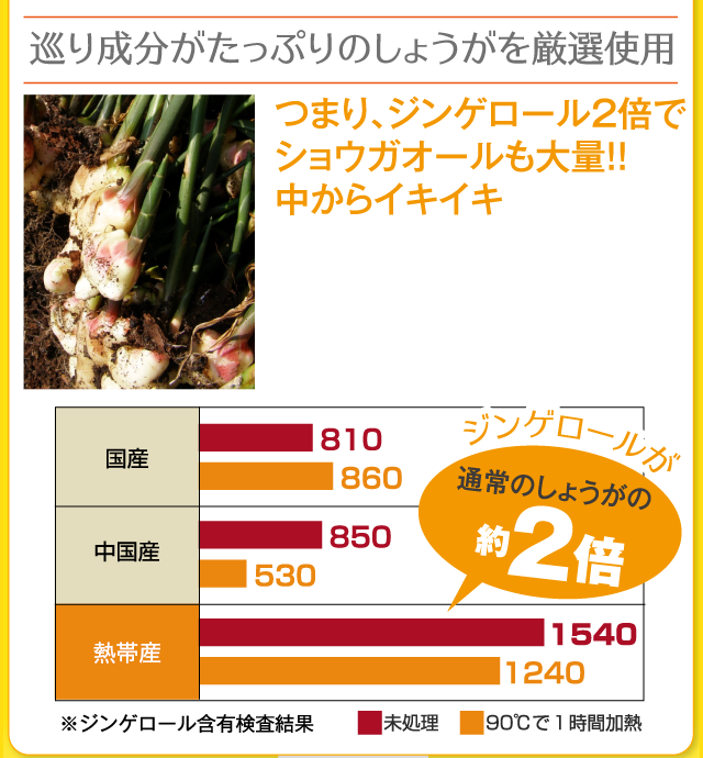 つまり､ジンゲロール２倍でショウガオールも大量！！中からイキイキ