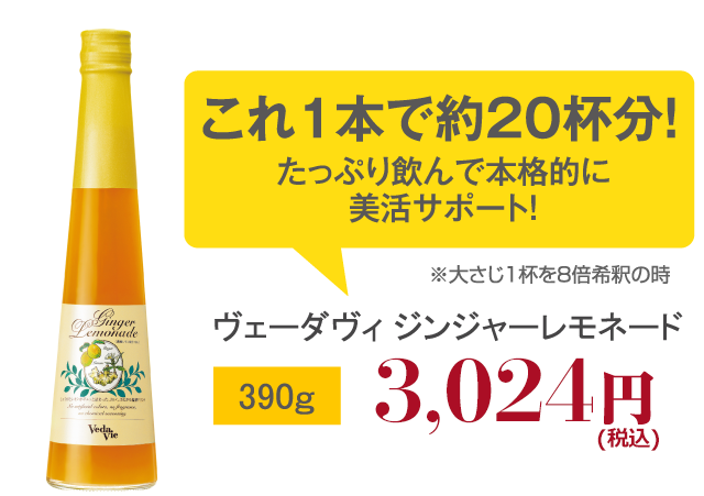 ヴェーダヴィ ジンジャーレモネード390ｇ2,800円