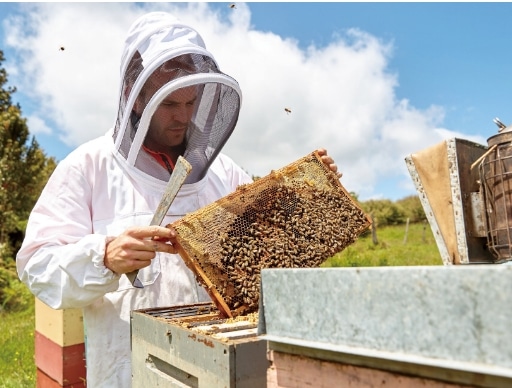 マヌカハニー MG650+: マヌカハニージンジャー,ハーブ,マヌカーハニー