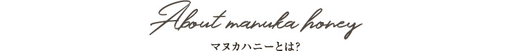マヌカハニーとは?