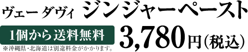 ヴェーダヴィ ジンジャーペースト【1個から送料無料】3,500円(税抜)